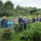 A group of gardeners on an allotment